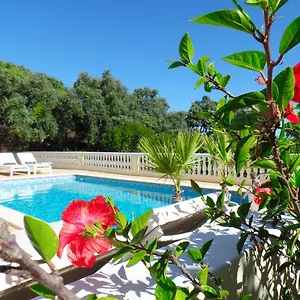 Panoramic Paradise Frühstückspension